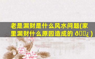 老是漏财是什么风水问题(家里漏财什么原因造成的 🌿 )